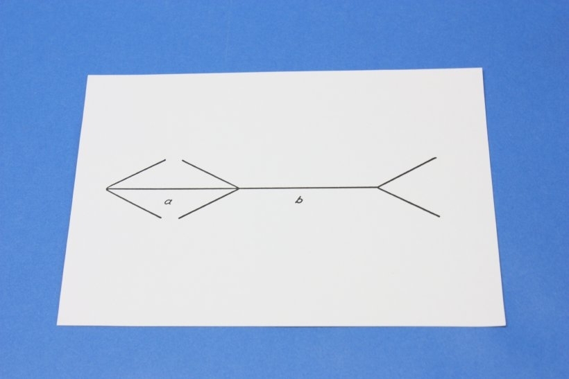 Optische Täuschung Müller-Lyer-Illusion physiologisches Sehen