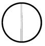 Petrischale aus Glas, 120 x 20 mm, mit Halbteilung und Deckel,(Simax)