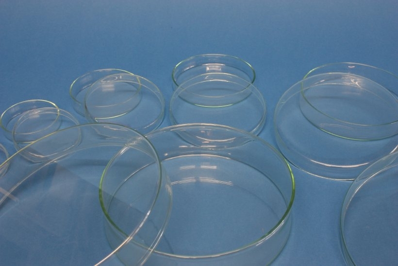 Petrischalen aus Glas mit Deckel, 60 x 15 mm