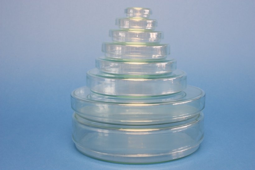 Petrischalen aus Glas mit Deckel, 120 x 20 mm