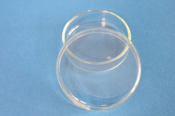 Petrischalen aus Glas mit Deckel, 100 x 20 mm