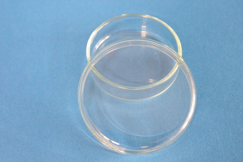 18 stück Petrischalen Glas Durchmesser 60 mm 15 mm Hoch 