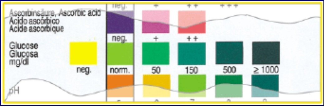 QUANTOFIX® Teststäbchen Nitrat/Nitrit, Dose à 100 Teststreifen, Indikatoren & Schnelltests, Basisprodukte