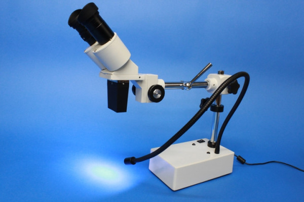 Stereo-Mikroskop, ST-50LED, 20fach, binokular, mit LED Schwanenhalslichtleiter