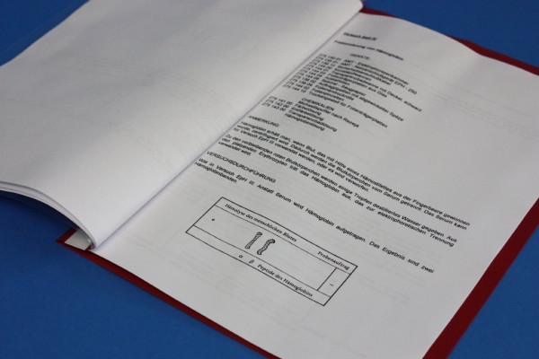 Anleitung zum Elektrophorese-Kit